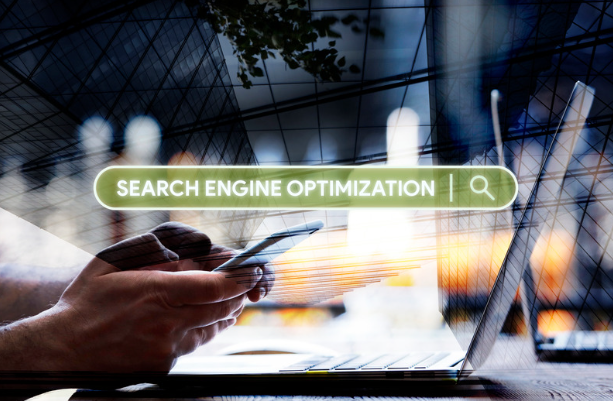 organic search engine optimization company